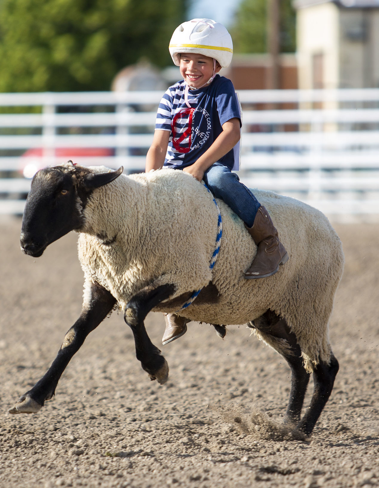 Mutton Busting in Minidoka